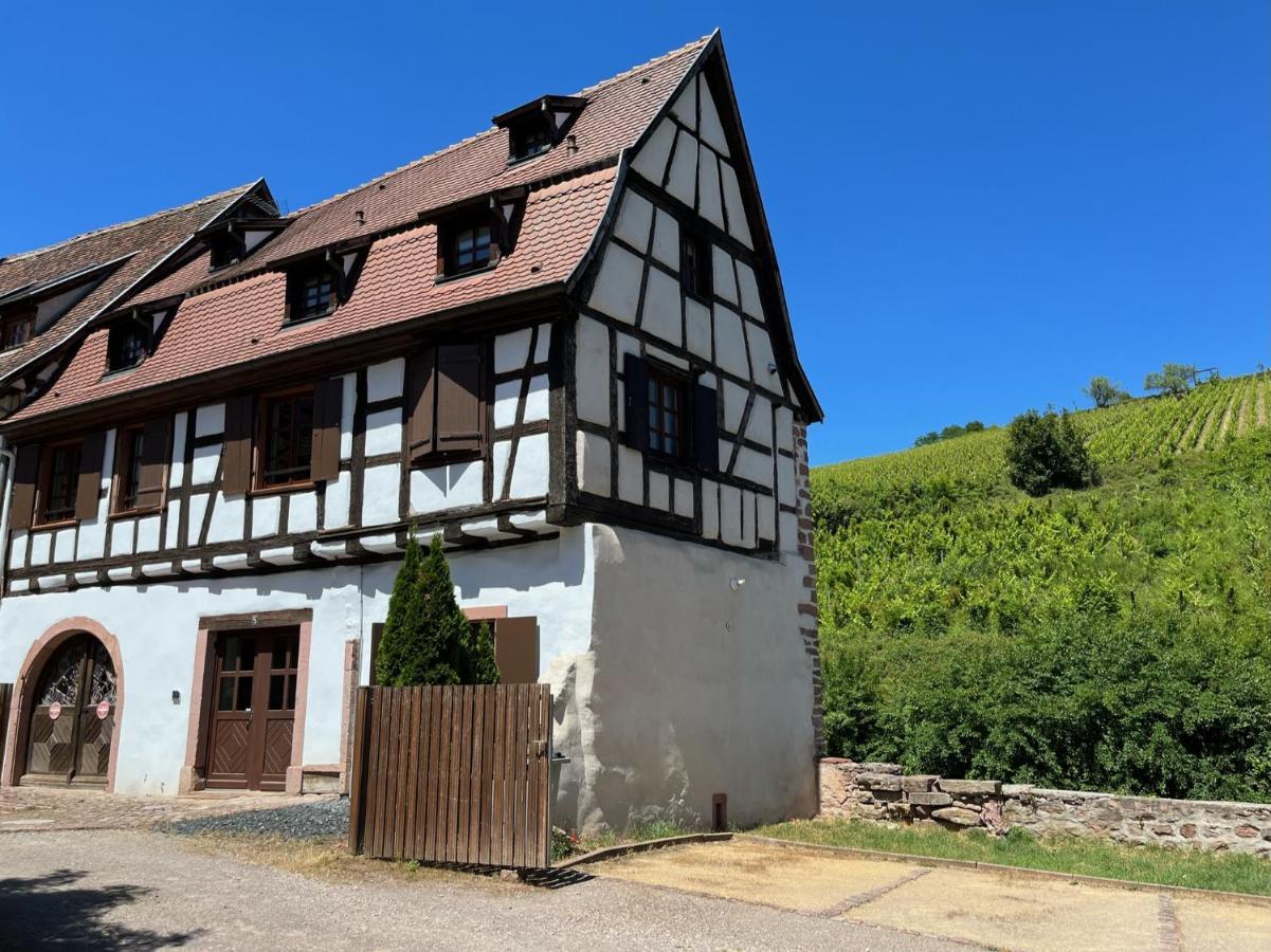 Domaine La Cour Des Nobles - Demeure, Maison Et Appartements Au Coeur De Riquewihr Zewnętrze zdjęcie