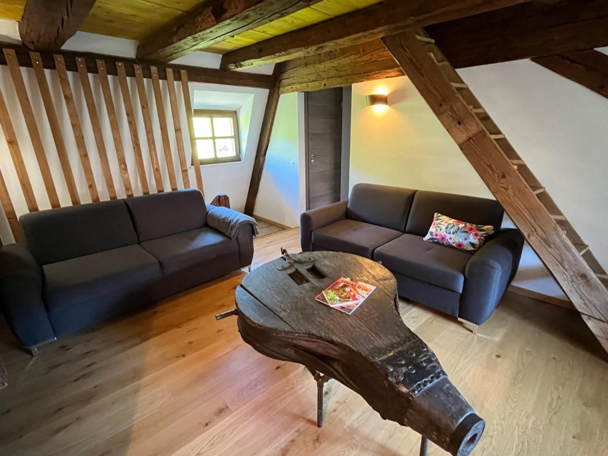 Domaine La Cour Des Nobles - Demeure, Maison Et Appartements Au Coeur De Riquewihr Zewnętrze zdjęcie