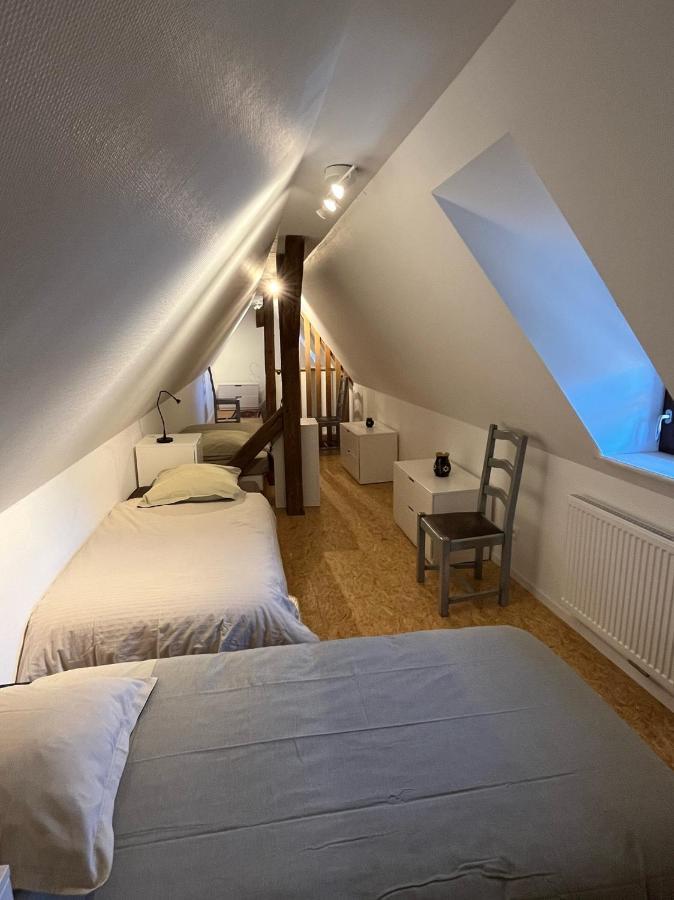 Domaine La Cour Des Nobles - Demeure, Maison Et Appartements Au Coeur De Riquewihr Zewnętrze zdjęcie