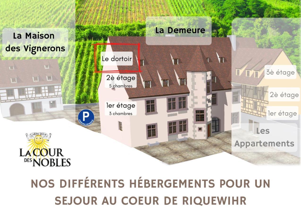 Domaine La Cour Des Nobles - Demeure, Maison Et Appartements Au Coeur De Riquewihr Zewnętrze zdjęcie