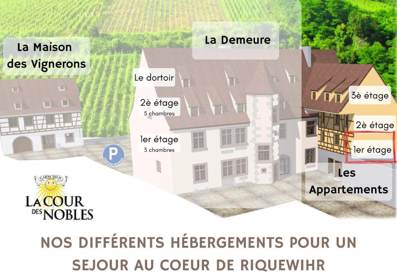 Domaine La Cour Des Nobles - Demeure, Maison Et Appartements Au Coeur De Riquewihr Zewnętrze zdjęcie