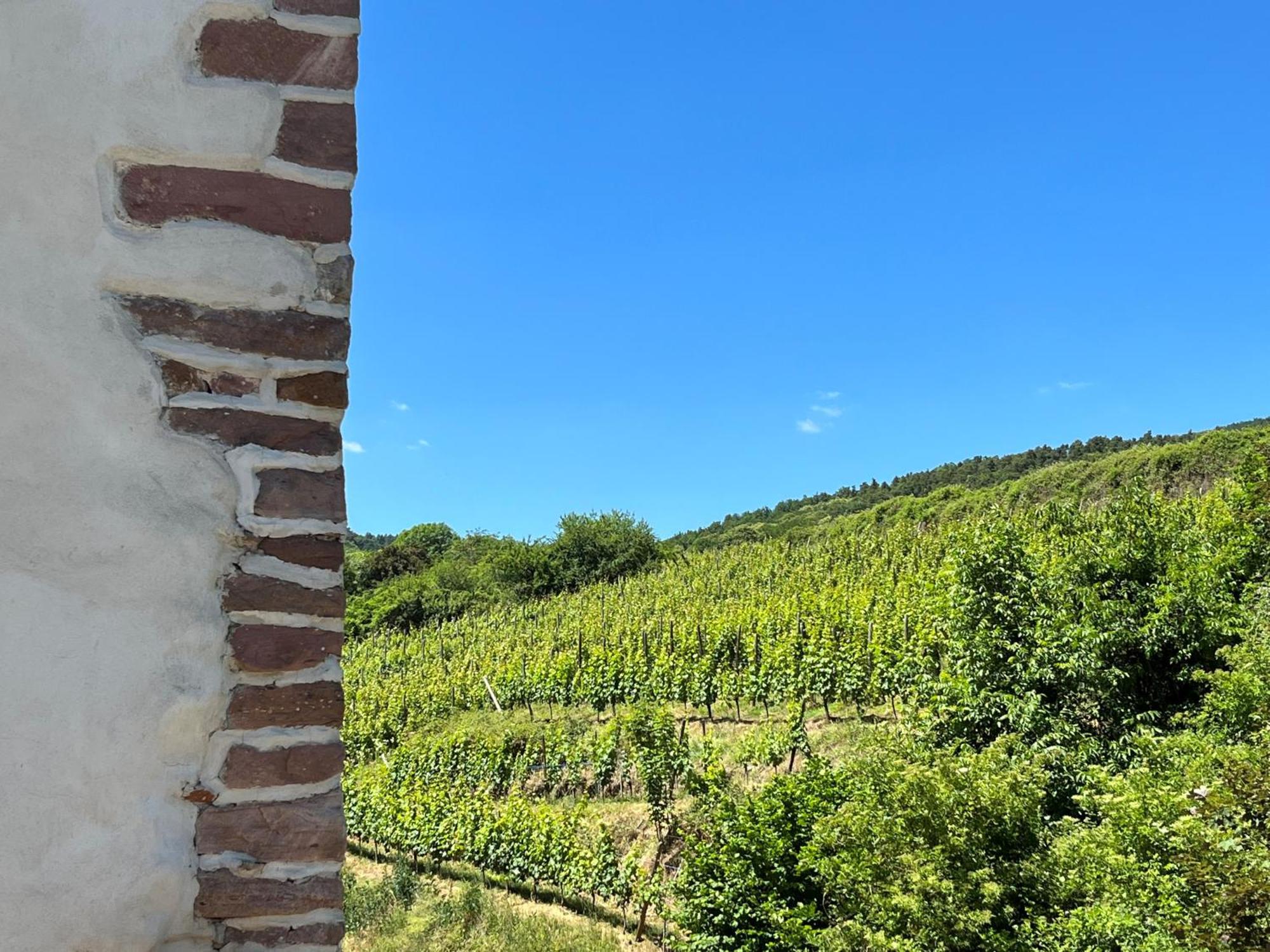 Domaine La Cour Des Nobles - Demeure, Maison Et Appartements Au Coeur De Riquewihr Zewnętrze zdjęcie