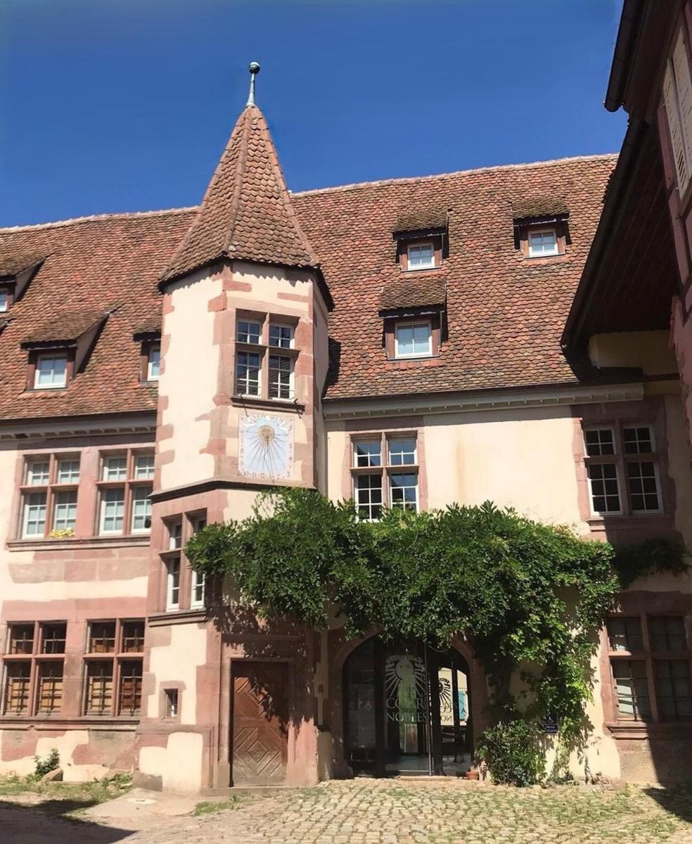 Domaine La Cour Des Nobles - Demeure, Maison Et Appartements Au Coeur De Riquewihr Zewnętrze zdjęcie
